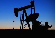 Пресс-секретарь польского топливного концерна Orlen Эдита Олькович сообщила, что компания не будет продлевать контракты на поставку российской нефти в случае введения санкций Евросоюза