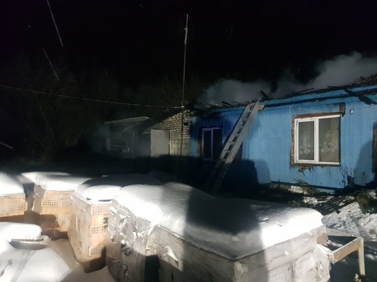 В Курской области сгорела надворная постройка и автомобиль «Нива»