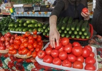 В ноябре 2022 года  индекс потребительских цен в Республике Бурятия составил 100 % по сравнению с октябрем, в том числе 100% – на продовольственные товары,   99,8 % – на непродовольственные  и 100,2 % – на услуги. 