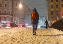 Петербург полностью во власти зимы
