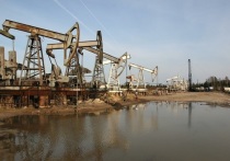 Председатель правления казахской госкомпании «Казмунайгаз» (КМГ) Магзум Мирзагалиев сообщил, что в январе 2023 года может состояться пробная отправка партии нефти в Германию