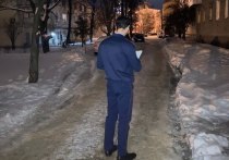 Накануне, вечером 20 декабря, жительница города Новомосковска, будучи обеспокоена тем, что её гражданский супруг не выходит на связь в течение 2-х дней, прибыла в его квартиру, расположенную по улице Космонавтов
