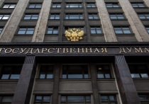 В Государственную Думу РФ был внесен законопроект о наказании до 7 лет лишения свободы за предоставление в налоговые органы подложных счетов фактур и деклараций