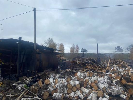 После проверки прокуратуры под Красноярском в атмосфере нашли загрязнения ртутью и формальдегидом