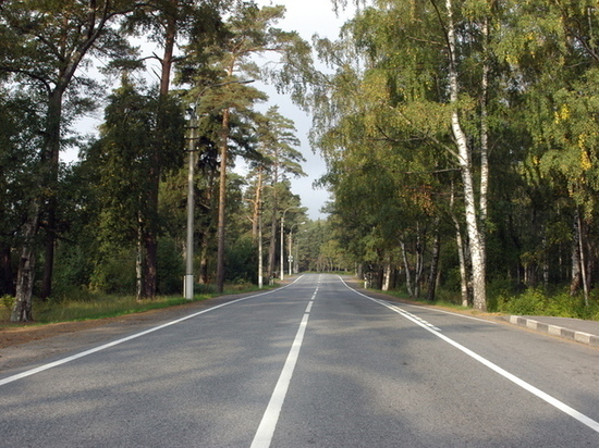 Петербург заплатит 1 млрд рублей за ремонт дачных дорог в Ленобласти