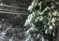 По данным синоптиков, на территории Тульской области 22 декабря ожидаются осадки в виде мокрого снега и дождя