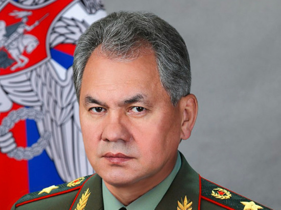 Шойгу призвал сформировать по артиллерийской дивизии в каждом военном округе России