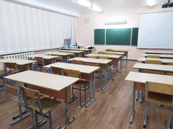 В Оренбургской области на дистанционное обучение перешли 73 школы