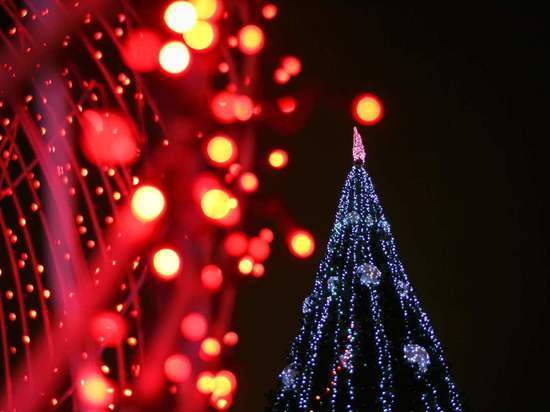 На главной елке Астрахани 22 декабря торжественно зажгут огни