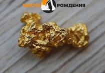 В Могочинском районе «чёрные копатели» незаконно добыли россыпное золото массой около 12 граммов на сумму около 42 тысяч рублей