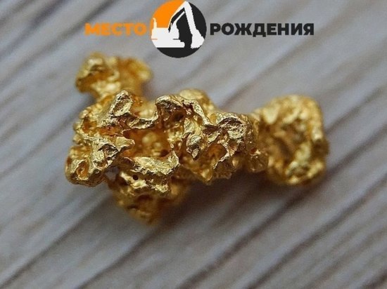 «Чёрные копатели» намыли 12 граммов золота в Могочинском районе