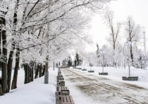 22 декабря Алтайский край накроют ветер и снег