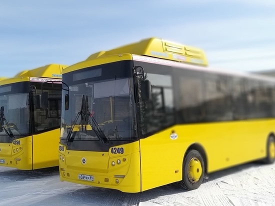 Жители Ноябрьска смогут круглый год ездить на автобусе в дачный поселок «Мечта»