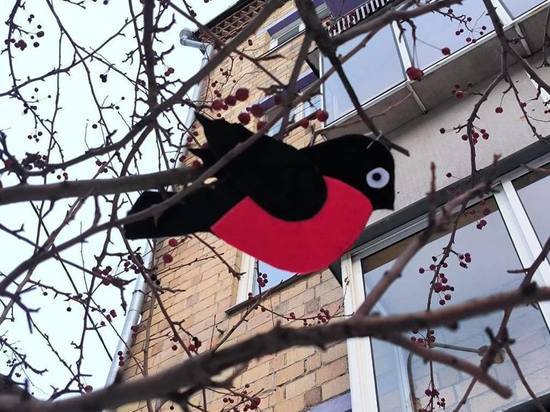 В Красноярске деревья на Сурикова украсили снегирями возле здания библиотеки