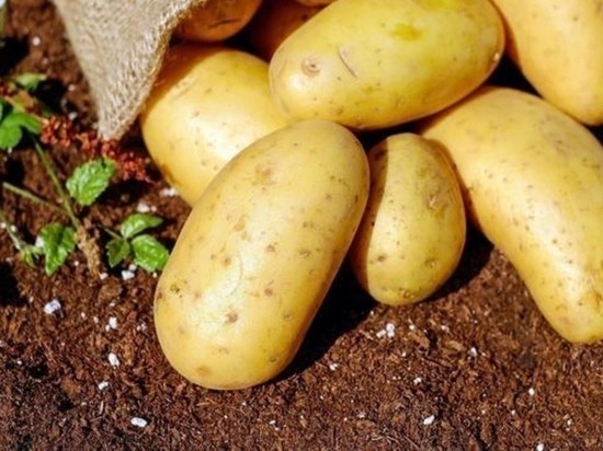 Цены продуктов для «Оливье» в Забайкалье выросли на 14% за год
