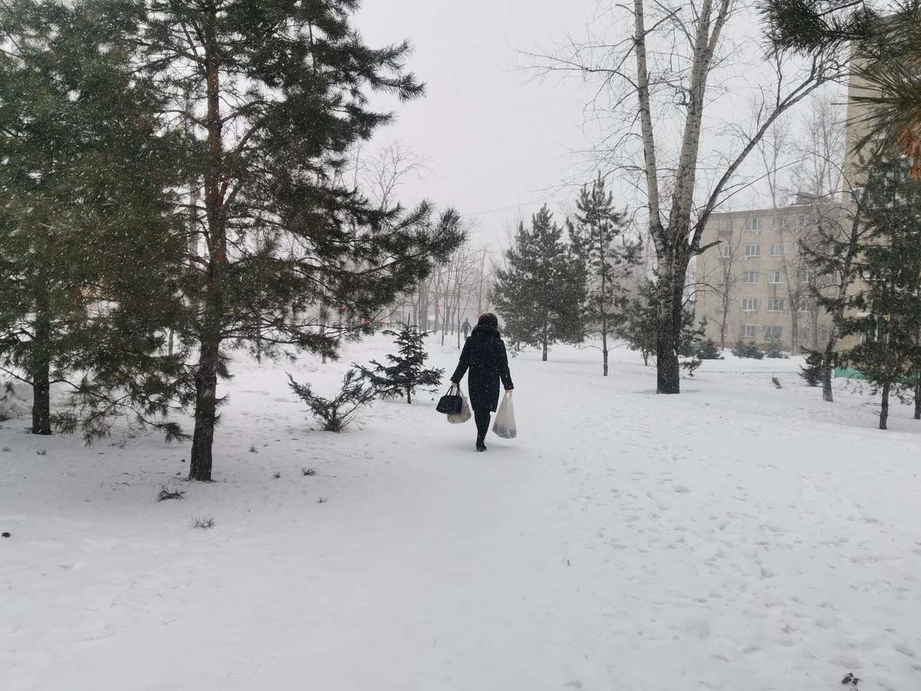 Опять метель: улицы и дворы Хабаровска заметает снегом