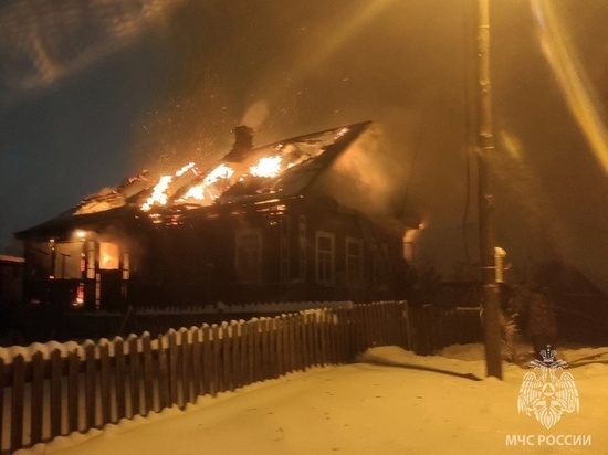 Сын и мать погибли в ночном пожаре в Бабаево