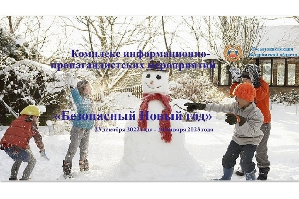 Костромская Госавтоинспекция дает старт проведению комплекса информационно-пропагандистских мероприятий «Безопасный Новый год»