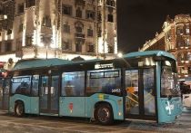 Эксперт рассказал, как правительство Петербурга будет субсидировать перевозчиков для снижения реальной стоимости проезда: до 50% для пользователей «Подорожника» и до 85% для льготников.
