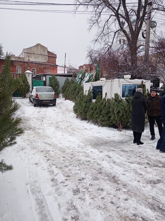 В Центральном округе Курска три предпринимателя незаконно торговали елками