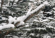По данным «Примгидромета» в пятница, 23 декабря, в Приморском крае объявлено штормовое предупреждение об опасных явлениях: очень сильный снег с количеством 20 мм и более за 12 часов и менее