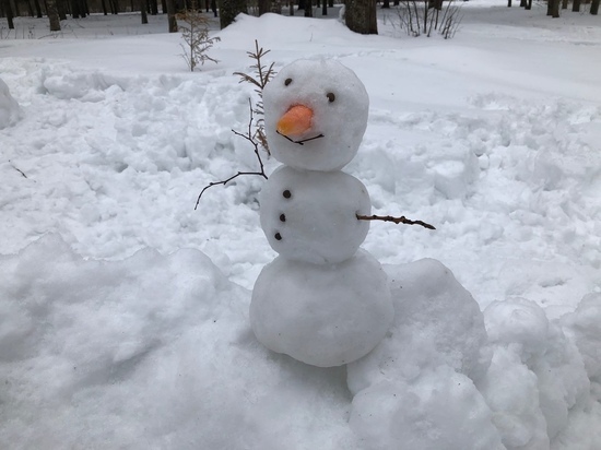 Конкурс снежных фигур проходит в Вологде