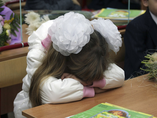 За этот год ни одна из школ Подмосковья не попала в «красную зону»