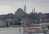 В МИД РФ сообщили, что российские специалисты, которые работают в Стамбуле в совместном координационном центре (СЦК) отравились дымом во время проверки кораблей и грузов в рамках зерновой сделки