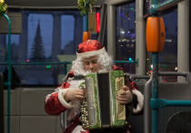 В новогоднюю и рождественскую ночи общественный транспорт в Петербурге будет работать без перерывов.