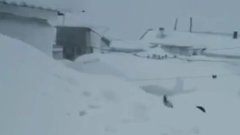 В Приморье дома завалило снегом по крышу из-за циклона: видео