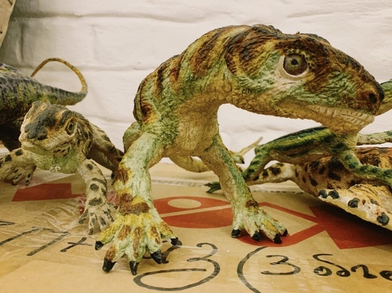 В Архангельске находки ученых-палеонтологов представят в Гостиных дворах