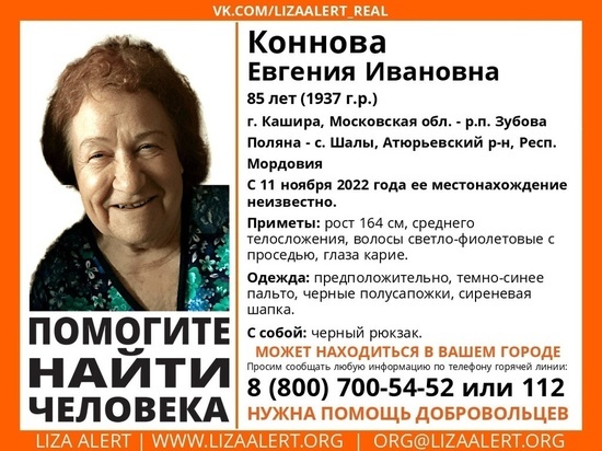 В Рязанской области разыскивают пропавшую в Подмосковье 85-летнюю пенсионерку