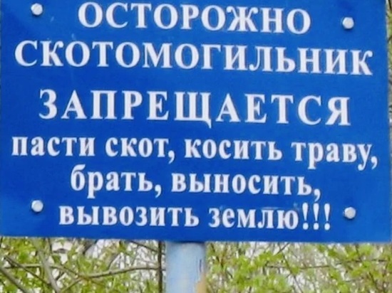 В Ярославской области выявлены опасные кладбища домашних животных