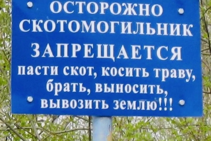 В Ярославской области выявлены опасные кладбища домашних животных
