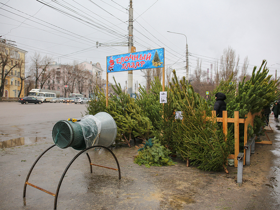 В Воронеже полиция ликвидировала 3 незаконных ёлочных базара