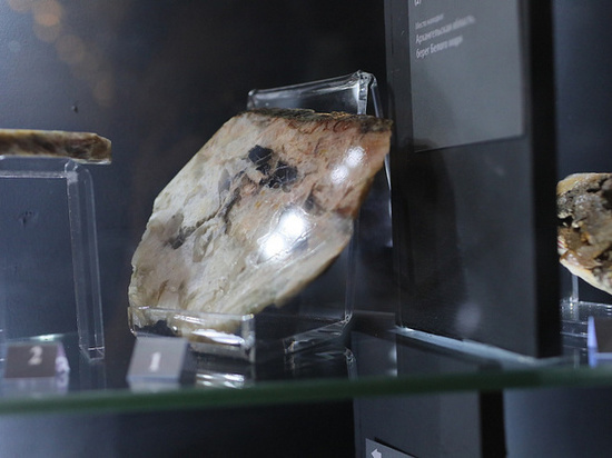 Копия петровского алмаза пополнила коллекцию Архангельского краеведческого музея