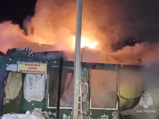 Представители МЧС опубликовали кадры с места тушения пожара в кемеровском пансионате