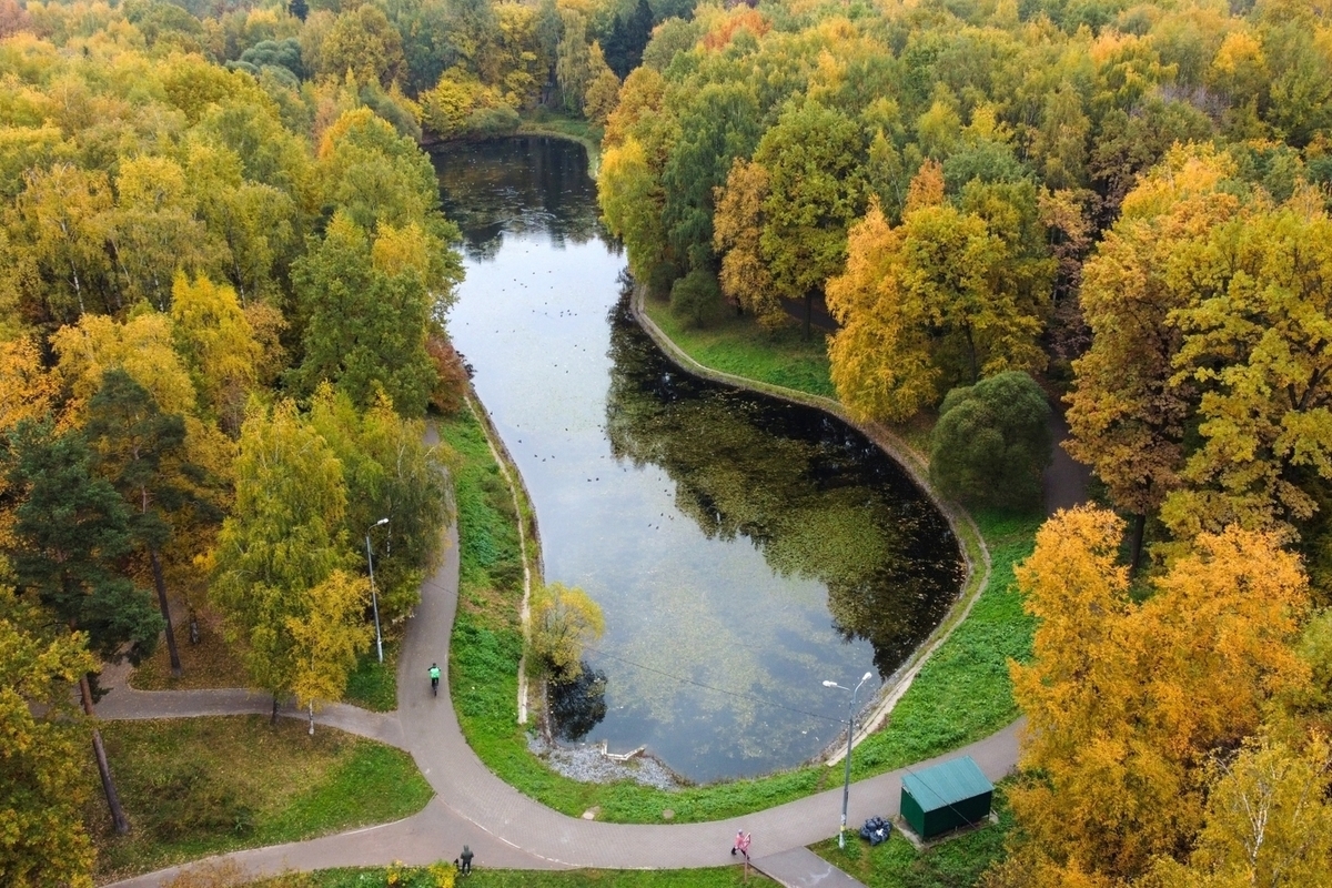 лианозовский парк на