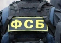 Российские спецслужбы задержали в Луганской Народной республике бывшего боевика украинского нацбатальона «Азов» (организация признана террористической по решению, запрещена в РФ), планировавшего теракты в российском регионе, сообщает РИА Новости