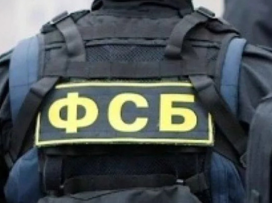 В ЛНР задержан экс-боевик «Азова», готовивший теракты в России
