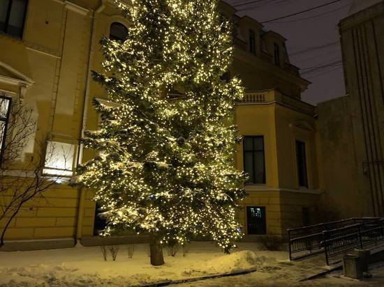 В Великом Новгороде 24 декабря в 19:00 торжественно зажгут огни на главной городской елке