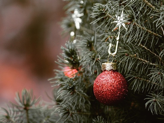 Декоратор назвала два необычных и экологичных способа украсить новогоднюю елку