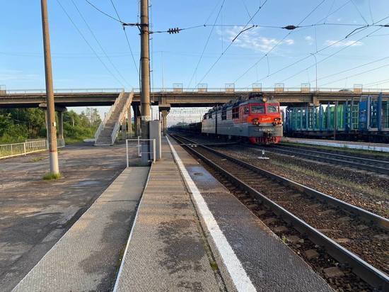 В Богородицком районе 23-летняя девушка попала под поезд