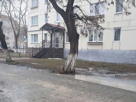В Новомичуринске Рязанской области из окна 3 этажа выпала 46-летняя женщина