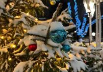 В Главном штабе Эрмитажа поставили новогоднюю «Елку мира». Ее украсили игрушками, которые сделали в рамках конкурса «Создай экспонат для Эрмитажа».