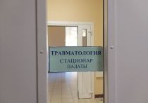 Более 170 петербуржцев обратились в НИИ скорой помощи им. Джанелидзе с травмами, которые получили во время падения на льду. Каждому четвертому горожанину понадобилась госпитализация.