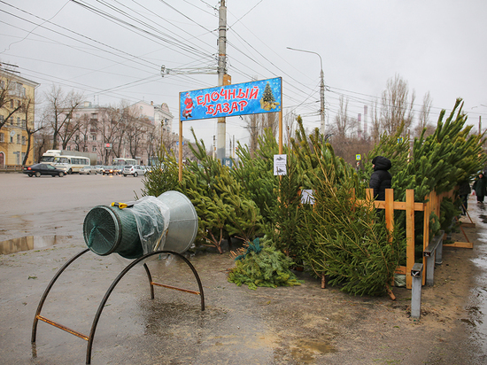 В воскресенье в Воронежской области пообещали дождь, туман и гололед