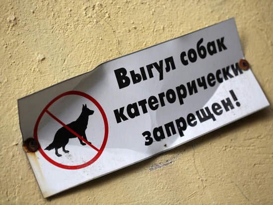 В Калининграде пострадавшие просят 100 тысяч за нападение собаки на ребенка