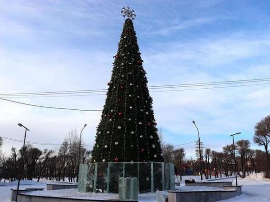 В Красноярске откроется ледовый городок и елка за 1,1 млн рублей в сквере имени Чернышевского
