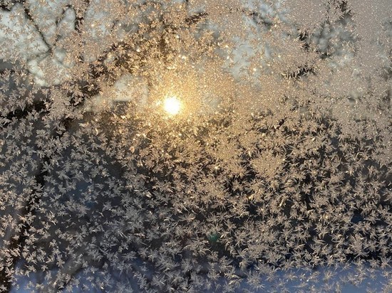 Метеорологи рассказали о погоде в Приморье на 26 декабря